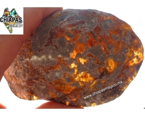 Pieza de Ámbar en Bruto / 136 Gramos