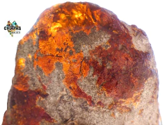 Pieza de Ámbar en Bruto / 958 Gramos