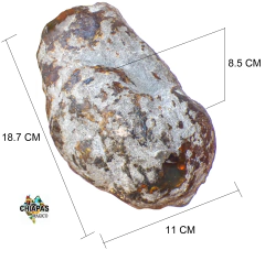 Pieza de Ámbar en Bruto / 958 Gramos - comprar en línea