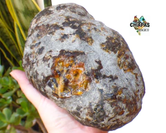 Pieza de Ámbar en Bruto / 958 Gramos en internet