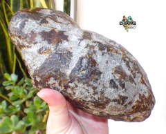 Pieza de Ámbar en Bruto / 958 Gramos - Chiapas Mágico