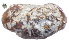 Pieza de Ámbar en Bruto / 958 Gramos