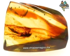 Ámbar Amarillo con Insecto #013