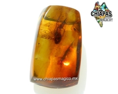 Ámbar Amarillo con Insecto #013 - Chiapas Mágico