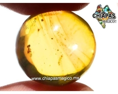 Ámbar Amarillo con Insecto #014 - Chiapas Mágico