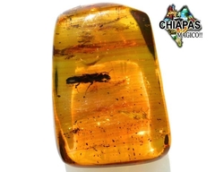 Ámbar Amarillo con Insecto #016 - tienda en línea
