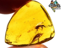 Ámbar Amarillo con Insectos #019 - comprar en línea