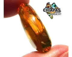 Ámbar Amarillo con Insectos #019 - Chiapas Mágico