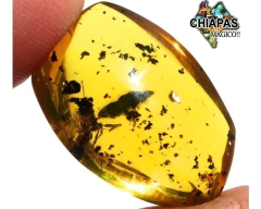 Ámbar Amarillo con Insecto #021 - Chiapas Mágico