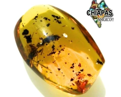 Ámbar Amarillo con Insecto #021 - tienda en línea