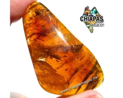 Ámbar Caramelo con Insectos #035 (6 CM) - tienda en línea