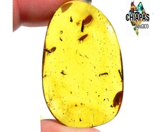 Ámbar Amarillo con Insecto #038