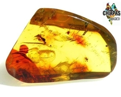 Ámbar Amarillo con Insectos #039 en internet