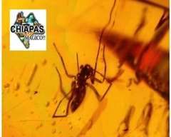 Ámbar Amarillo con Araña e Insecto #004