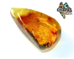 Ámbar Amarillo con Araña e Insecto #004 - Chiapas Mágico