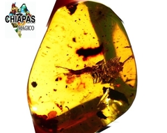 Ámbar Amarillo con Insecto #040 - comprar en línea