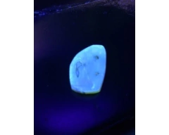 Ámbar Amarillo con Insectos #041 - tienda en línea