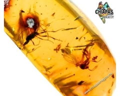 Ámbar Amarillo con Insectos #006 (Gota) en internet