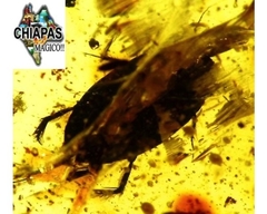 Ámbar Amarillo con Insecto #009 - tienda en línea