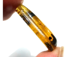 Gota de Ámbar para engarzar con Flor. - tienda en línea