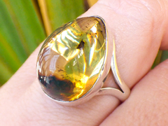 Anillo Ajustable De Plata 950 & Ámbar Auténtico (AMJ) - comprar en línea