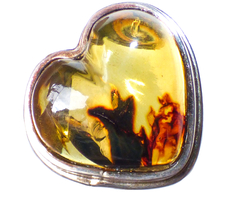 Anillo Corazón de Ámbar & Plata Ley #7 (C7)