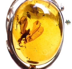 Anillo Ajustable de Ámbar con Insectos & Plata Ley (INS1) - comprar en línea