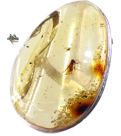 Anillo De Ámbar Con Insecto & Plata Ley #8 (INS7)