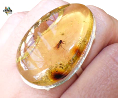 Anillo De Ámbar Con Insecto & Plata Ley #8 (INS7) en internet