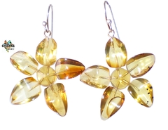 Aretes Flores De Ámbar & Plata Ley (2)