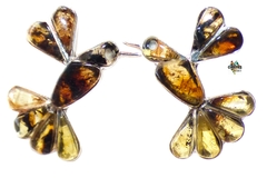 Broqueles Colibríes de Ámbar & Plata Ley #001