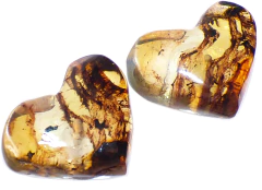 Broqueles Corazones de Ámbar & Acero Inox