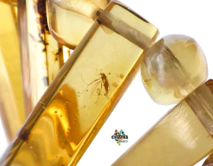 Collar con Dijes de Ambar & Plata Ley (Con Insectos) en internet