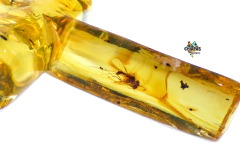 Dije Cruz De Ámbar Con Insecto & Plata Ley #002 - comprar en línea
