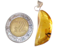 Dije De Ámbar Con Insectos & Plata Ley #012