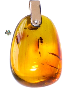 Dije De Ámbar Con Insectos & Plata Ley #025