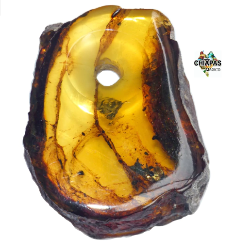 Dije de Ámbar Diseño Rustico & Perforación Central (PFC1)