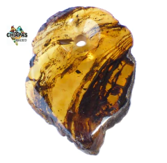 Dije de Ámbar Diseño Rustico & Perforación Central (PFC5) - Chiapas Mágico