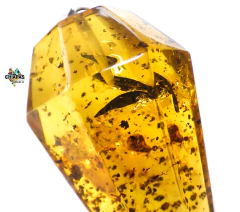 Dije Péndulo de Ámbar & Plata Laminada (Con Hoja Fosilizada) - comprar en línea