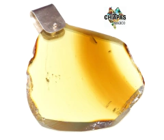 Dije de Plata Ley & Ámbar Auténtico #005 en internet