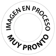 Dije Inicial de Ámbar & Letra Laminada (a elegir) - tienda en línea