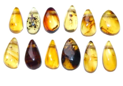 Paquete con 12 Dijes Pequeños de Ámbar #009