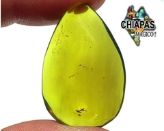 Ámbar Verde #3 Pieza Exclusiva
