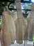 Conjunto Letícia - gees boutique