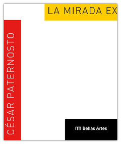 César Paternosto. La Mirada Excéntrica
