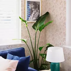 Papel Vinílico Capsula Decolab Plantas - Muresco - Muebles y Cosas