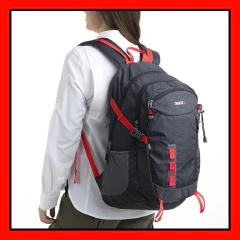 Mochila Nexxt Raval 35 Lts Trekking