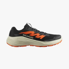 Imagen de Zapatillas Salomon Alphaglide Hombre Trail Running
