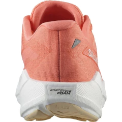 Imagen de Zapatillas Salomon Aero Blaze 3 Mujer Running