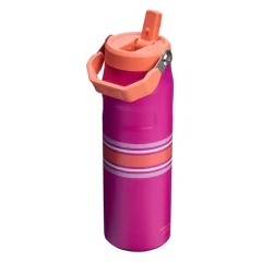 Botella Térmica Stanley Iceflow Flip Straw 710 Ml en internet